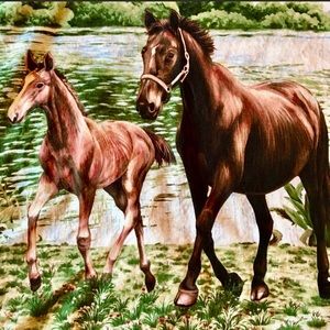 One of a kind handmade horse 🐎 pillow case. (pillow not included)